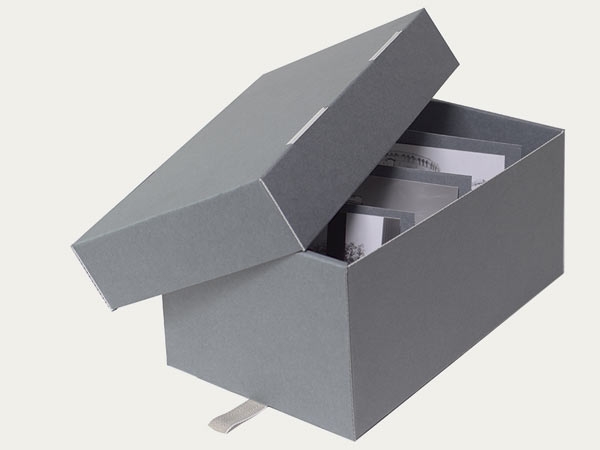 Standardsortiment Stuelpbox KS16 mit Zugschlaufen und Trennstegen