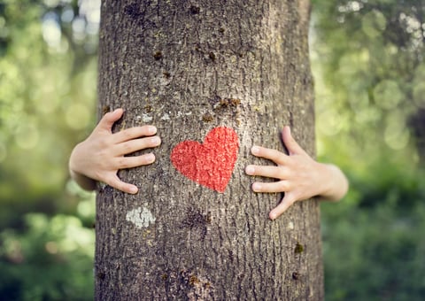 iStock-813059638